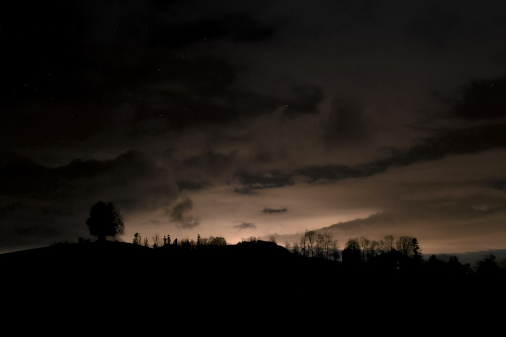 Perfekte Naturfotografie: Tipps und Tricks für die Bildbearbeitung mit&nbsp;Lightroom